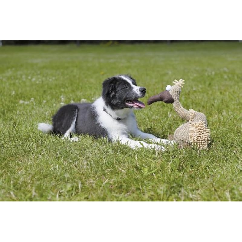 518avhlq13l. ac us800