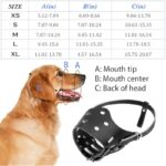 519 wnjfc l. ac us800