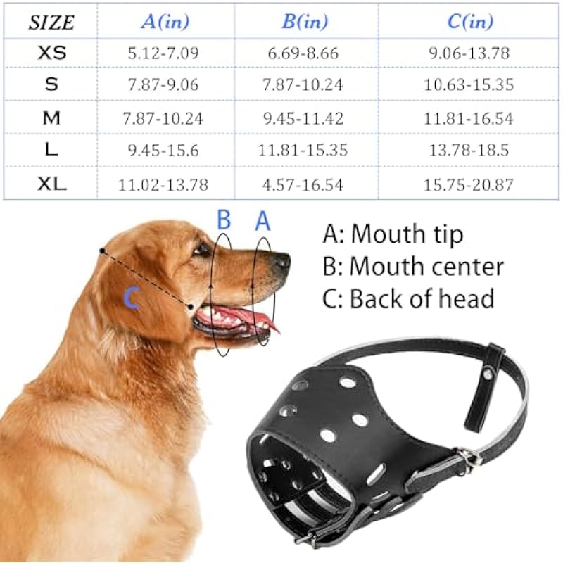 519 wnjfc l. ac us800