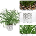 51ablajdnzl. ac us800