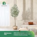 51c rtlzbal. ac us800