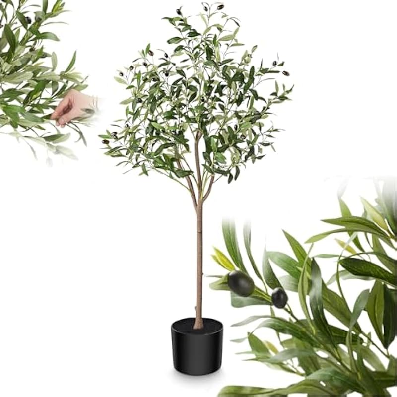 51dv5ccbl6l. ac us800