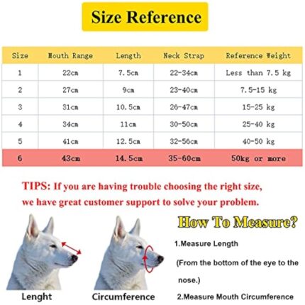 51dzbrcyhxl. ac us800