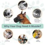 51g79dfbfl. ac us800