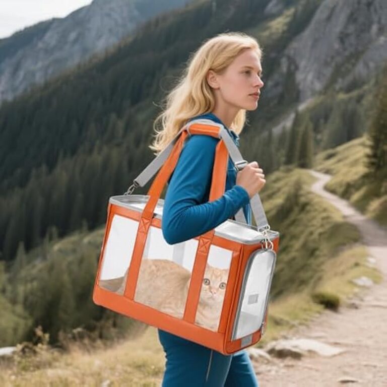 51g9kxciqpl. ac us800