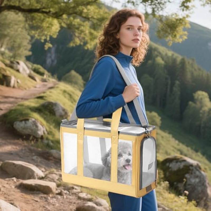 51g9dpfc3gl. ac us800