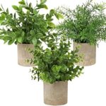 51hjaqqsmrl. ac us800