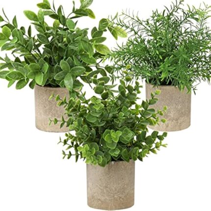 51hjaqqsmrl. ac us800 