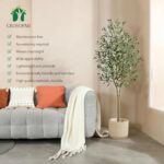 51ih0llc3gl. ac us800