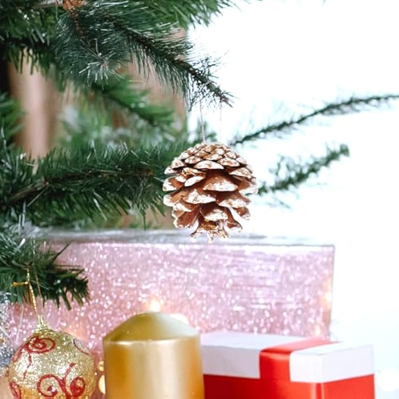 51ii0gqyv2l. ac us800