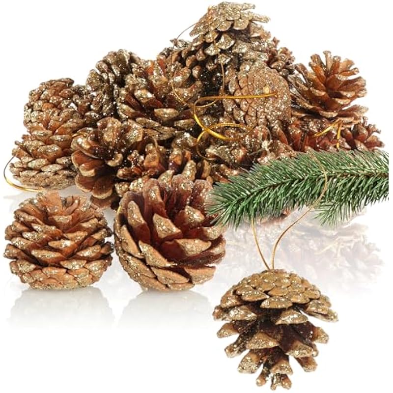 51kfrw6r0al. ac us800