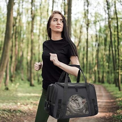 51l8kbptjbl. ac us800