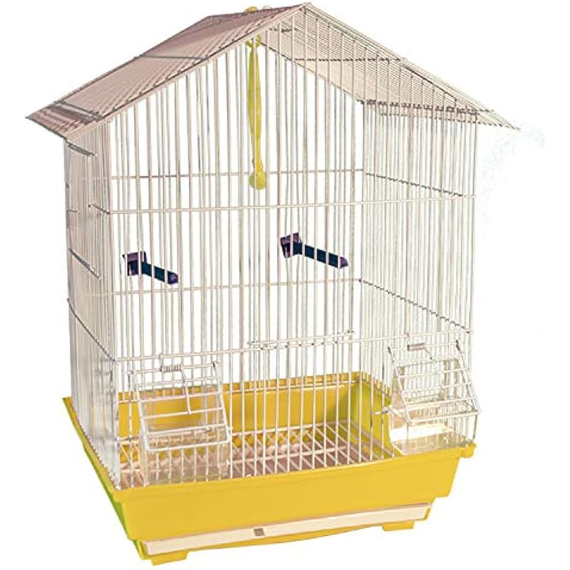 51MWhlWb6PL._AC_US800_ 51mwhlwb6pl. ac us800