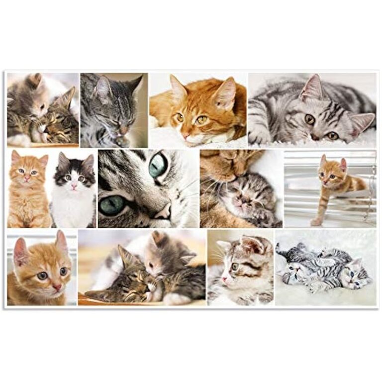 51nih46ggil. ac us800