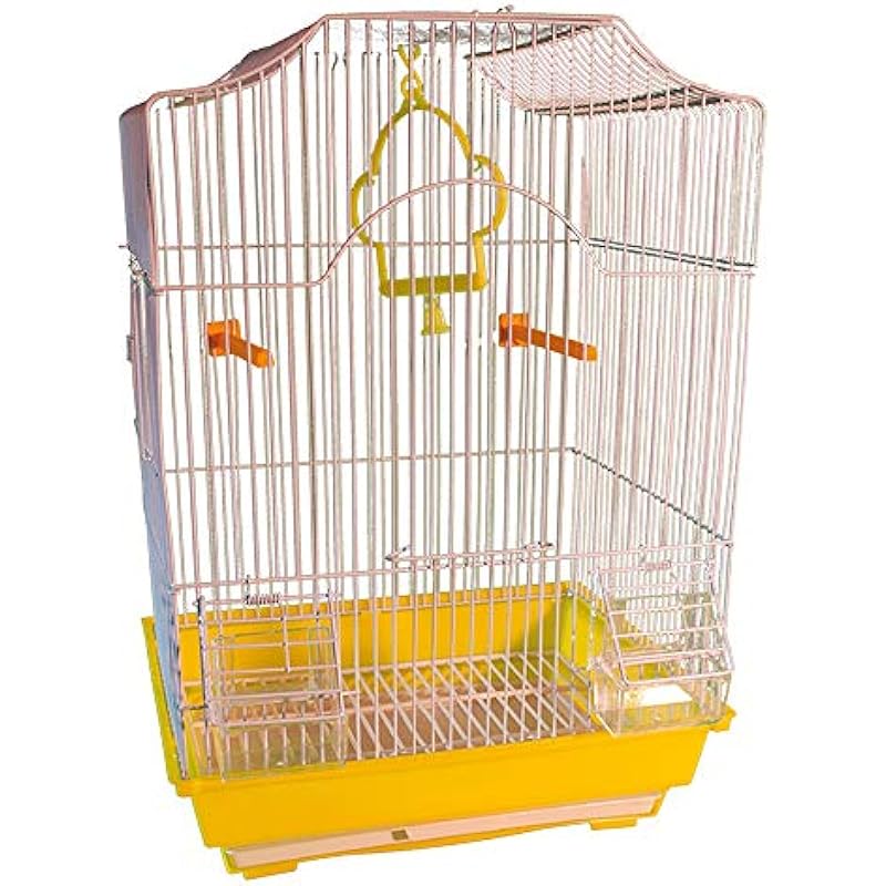 51O1B5gtJBL._AC_US800_ 51o1b5gtjbl. ac us800