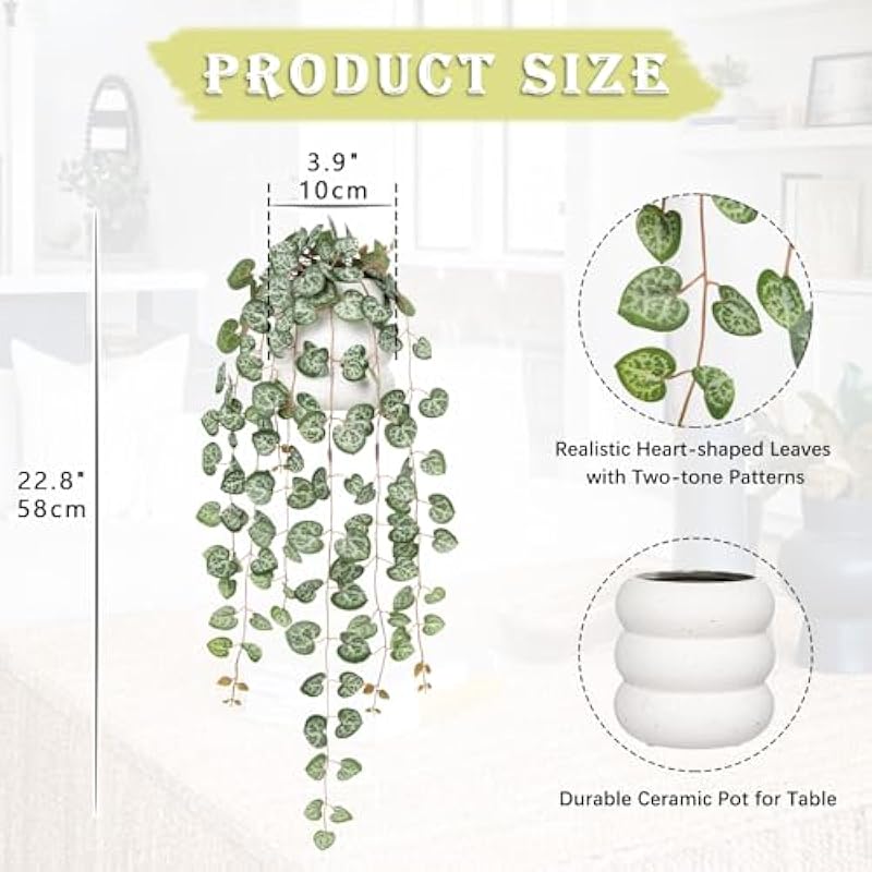 51onwh4jedl. ac us800