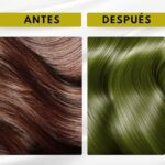 51of2hnzcjl. ac us800