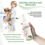 51pvo7a0g1l. ac us800