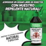 51qctylkudl. ac us800