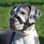 51rst 1jj5l. ac us800