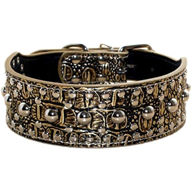 51Sr5RRVAyL._AC_US800_ 51sr5rrvayl. ac us800