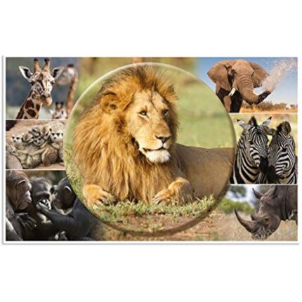 51sv6hflg7l. ac us800