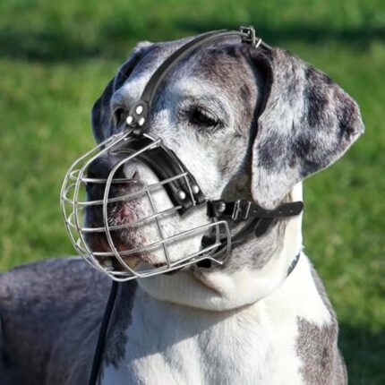 51x dlqbvbl. ac us800 