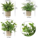 51xa8bdjqil. ac us800