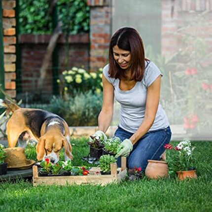 51xh8ukqz6l. ac us800