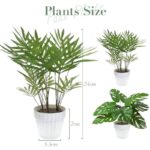 51xklpndhgl. ac us800