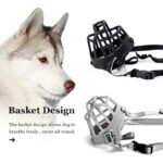 51dub1c3ihl. ac us800