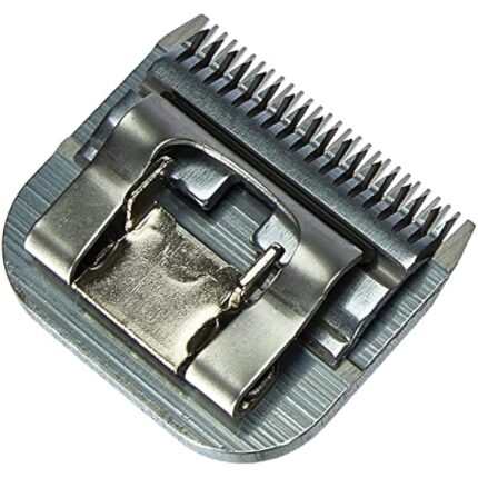 51eckkuhw8l. ac us800