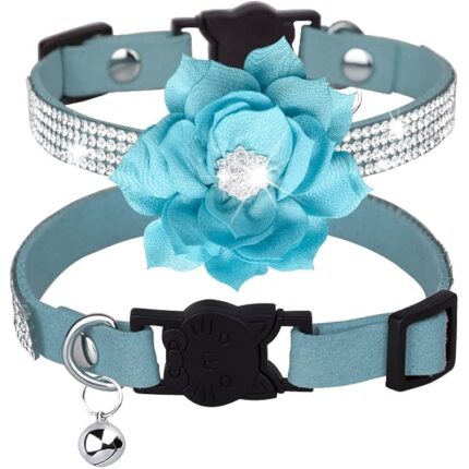 51h6ieyfral. ac us800