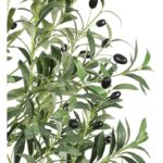 51hahsum2zl. ac us800