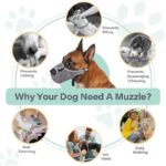 51i55rdrfil. ac us800