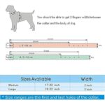 51iowshdoml. ac us800