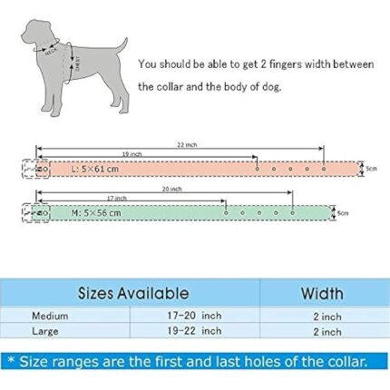 51iowshdoml. ac us800