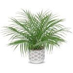 51l2 5knwol. ac us800