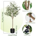 51mcccbtfl. ac us800