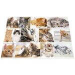 51mgo8ihjal. ac us800