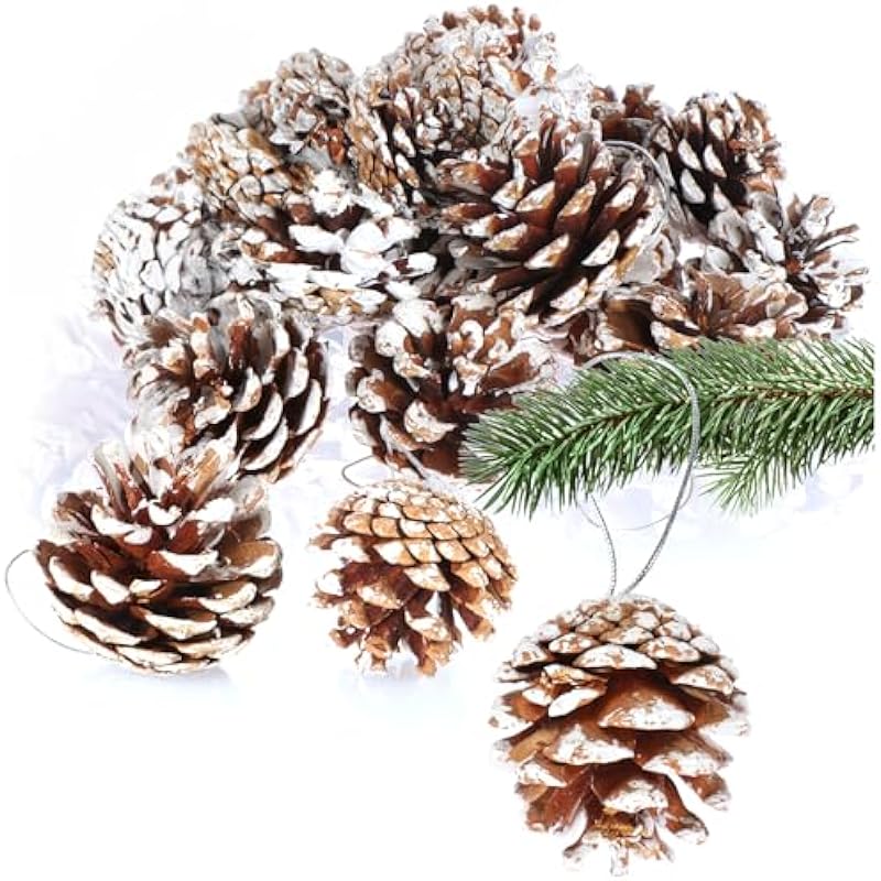 51mfgafug l. ac us800