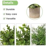 51mom6ciw2l. ac us800