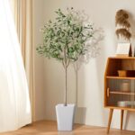 51nbg3uze4l. ac us800