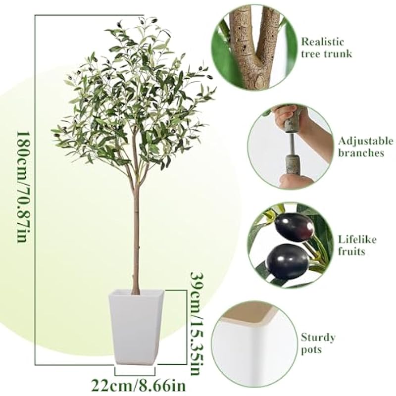 51ninxhszkl. ac us800