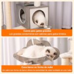 51ntlsq 0nl. ac us800