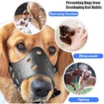 51ne6pny9zl. ac us800