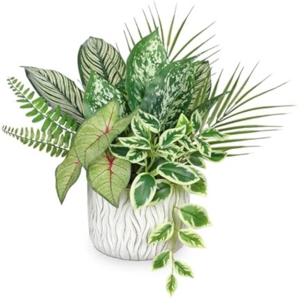 51poxjpmxwl. ac us800 