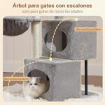 51qphtjaiul. ac us800