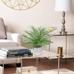 51tiwkvk2yl. ac us800