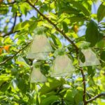 51u7e8arhtl. ac us800